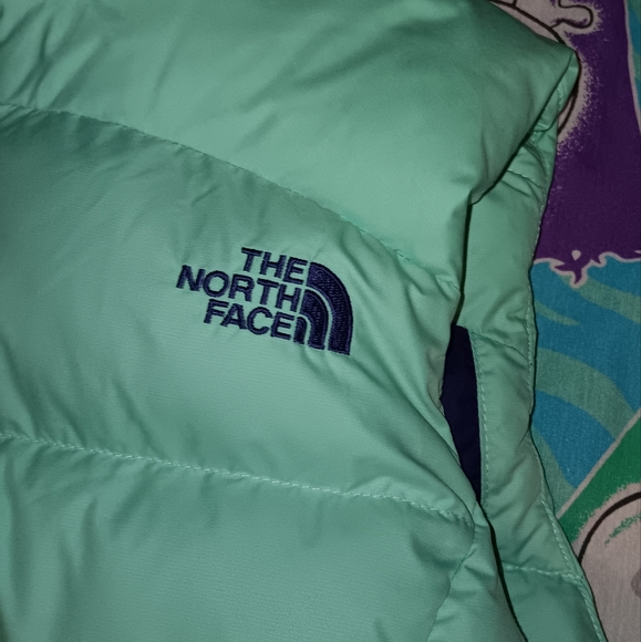 The North Face Goose Down 700 Puffer Vest Jacket - Picture 3 of 8